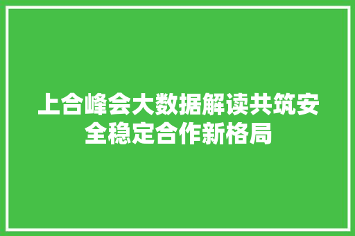 上合峰会大数据解读共筑安全稳定合作新格局