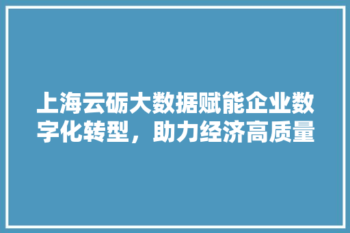 上海云砺大数据赋能企业数字化转型，助力经济高质量发展 友链在线