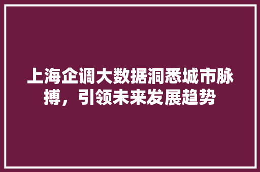 上海企调大数据洞悉城市脉搏，引领未来发展趋势 建站教程