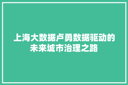 上海大数据卢勇数据驱动的未来城市治理之路