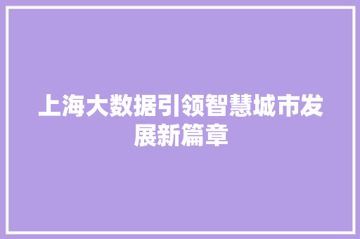 上海大数据引领智慧城市发展新篇章