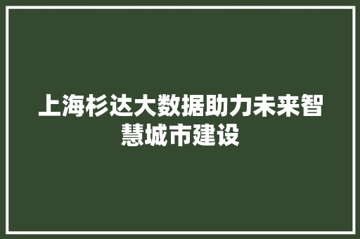 上海杉达大数据助力未来智慧城市建设 Web前端