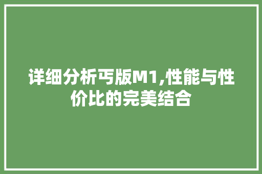详细分析丐版M1,性能与性价比的完美结合