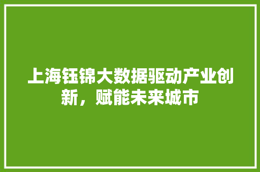 上海钰锦大数据驱动产业创新，赋能未来城市