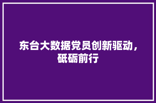 东台大数据党员创新驱动，砥砺前行