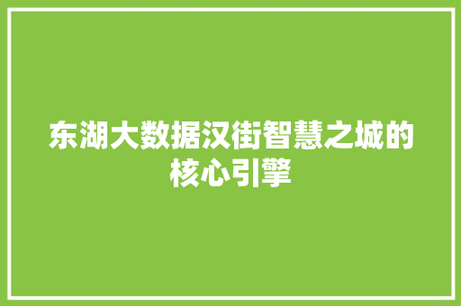 东湖大数据汉街智慧之城的核心引擎