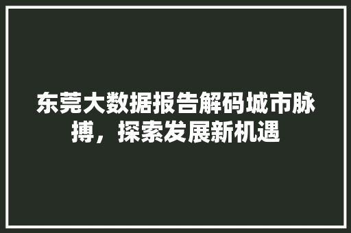 东莞大数据报告解码城市脉搏，探索发展新机遇