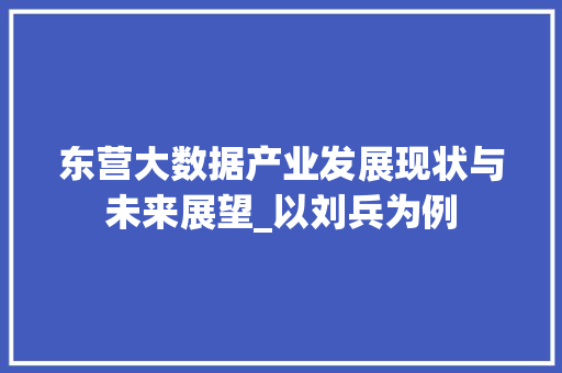 东营大数据产业发展现状与未来展望_以刘兵为例 服务器/数据库