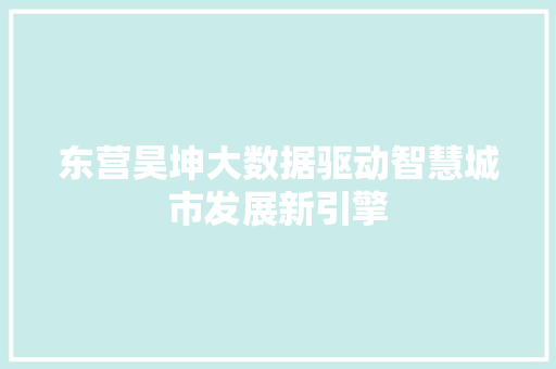 东营昊坤大数据驱动智慧城市发展新引擎