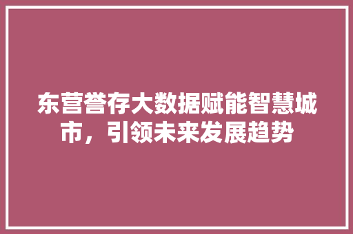 东营誉存大数据赋能智慧城市，引领未来发展趋势 Web前端