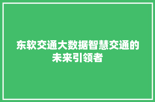 东软交通大数据智慧交通的未来引领者
