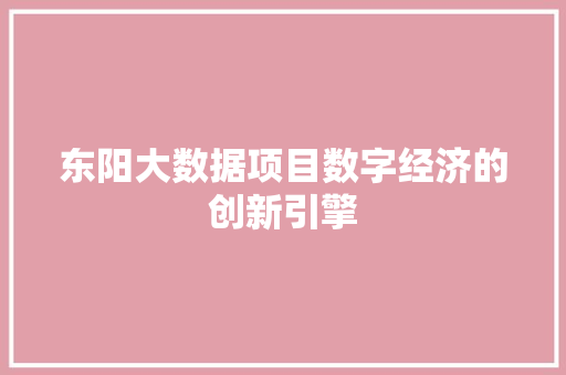 东阳大数据项目数字经济的创新引擎