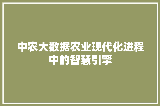 中农大数据农业现代化进程中的智慧引擎 WordPress教程
