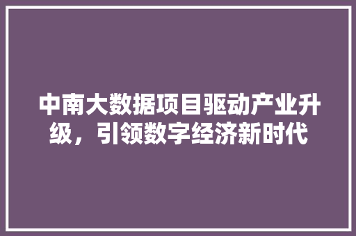 中南大数据项目驱动产业升级，引领数字经济新时代 友链在线