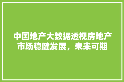 中国地产大数据透视房地产市场稳健发展，未来可期