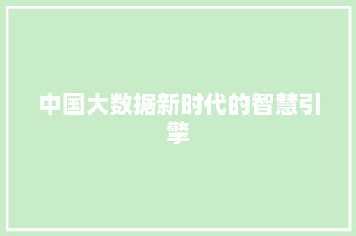 中国大数据新时代的智慧引擎 SEO教程