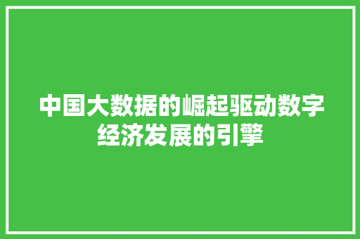 中国大数据的崛起驱动数字经济发展的引擎 建站教程