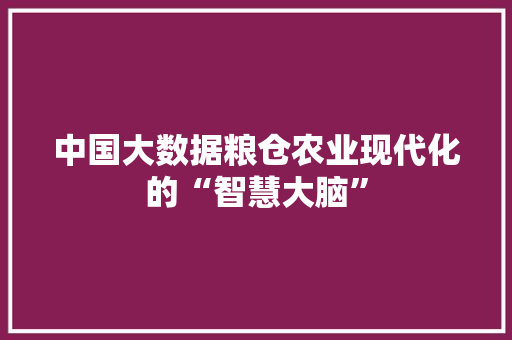 中国大数据粮仓农业现代化的“智慧大脑” 服务器/数据库