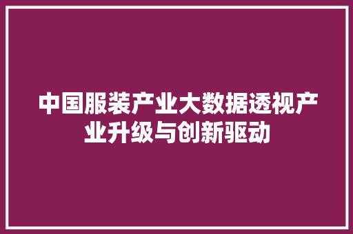 中国服装产业大数据透视产业升级与创新驱动 建站教程