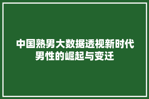中国熟男大数据透视新时代男性的崛起与变迁 WordPress教程