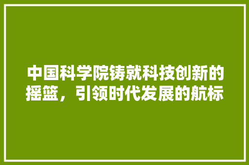 中国科学院铸就科技创新的摇篮，引领时代发展的航标 服务器/数据库