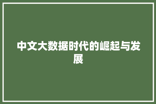 中文大数据时代的崛起与发展