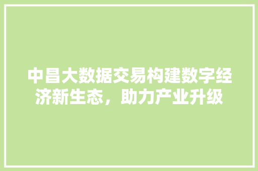 中昌大数据交易构建数字经济新生态，助力产业升级