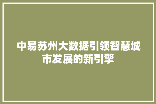 中易苏州大数据引领智慧城市发展的新引擎