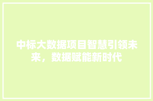 中标大数据项目智慧引领未来，数据赋能新时代