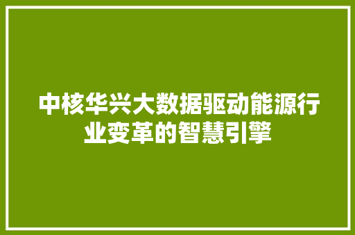 中核华兴大数据驱动能源行业变革的智慧引擎