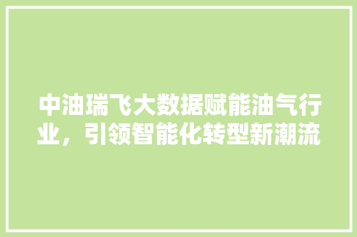 中油瑞飞大数据赋能油气行业，引领智能化转型新潮流