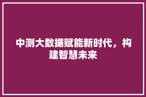 中测大数据赋能新时代，构建智慧未来