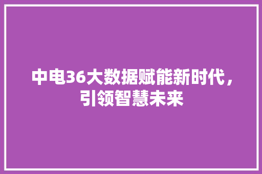 中电36大数据赋能新时代，引领智慧未来