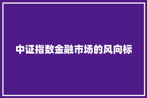 中证指数金融市场的风向标