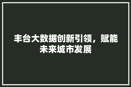 丰台大数据创新引领，赋能未来城市发展