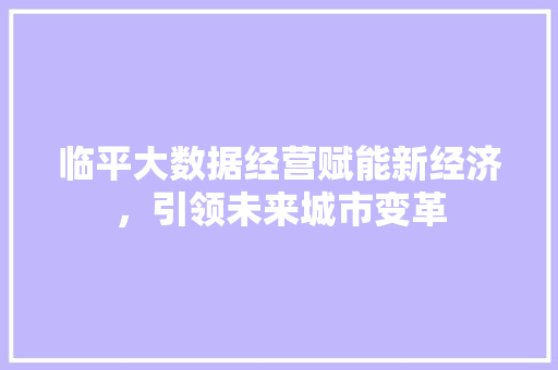 临平大数据经营赋能新经济，引领未来城市变革