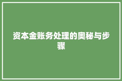 资本金账务处理的奥秘与步骤 资本金账务处理的奥秘与步骤 服务器/数据库