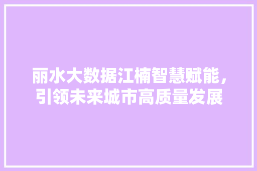 丽水大数据江楠智慧赋能，引领未来城市高质量发展 友链在线