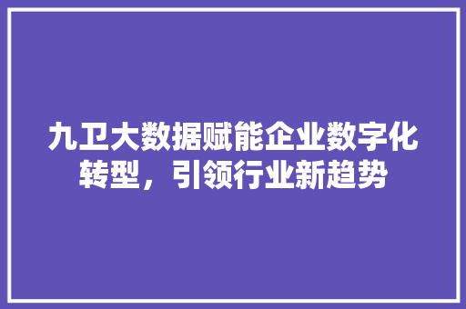 九卫大数据赋能企业数字化转型，引领行业新趋势