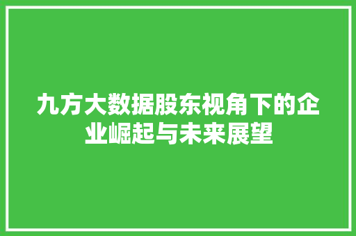 九方大数据股东视角下的企业崛起与未来展望