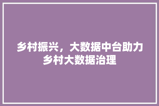 乡村振兴，大数据中台助力乡村大数据治理