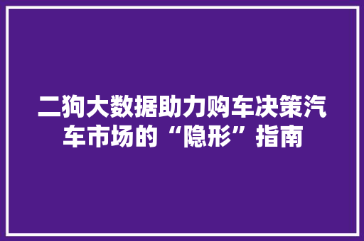 二狗大数据助力购车决策汽车市场的“隐形”指南