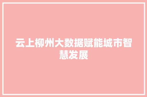 云上柳州大数据赋能城市智慧发展 友链在线