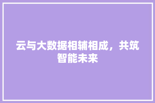 云与大数据相辅相成，共筑智能未来 SEO教程
