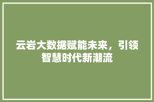 云岩大数据赋能未来，引领智慧时代新潮流