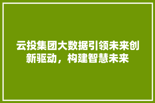 云投集团大数据引领未来创新驱动，构建智慧未来