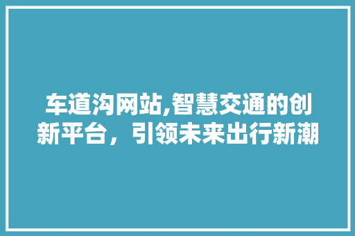 车道沟网站,智慧交通的创新平台，引领未来出行新潮流