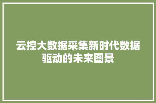 云控大数据采集新时代数据驱动的未来图景 SEO教程