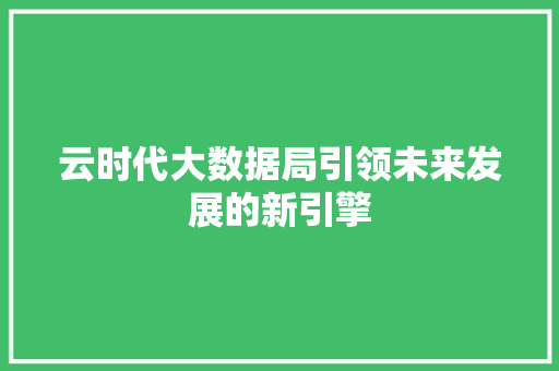 云时代大数据局引领未来发展的新引擎