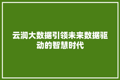 云润大数据引领未来数据驱动的智慧时代